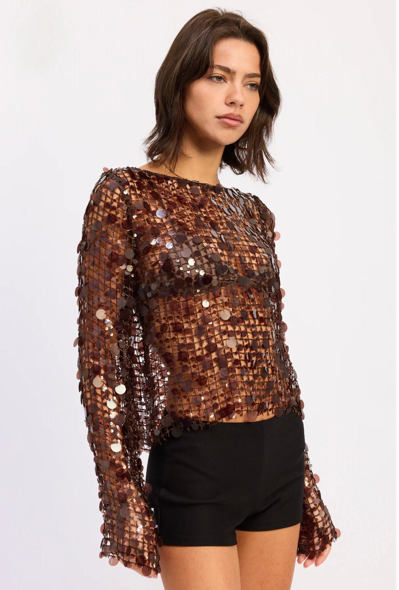 ZARA - Sequin Mesh Top