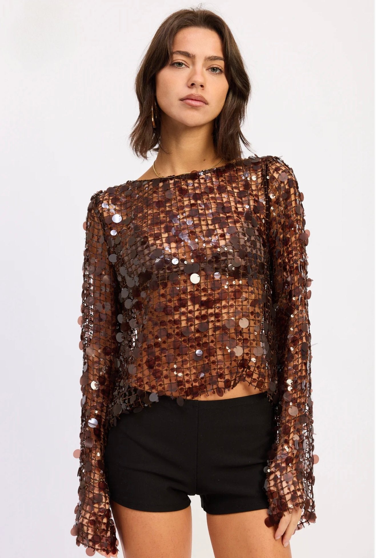 ZARA - Sequin Mesh Top